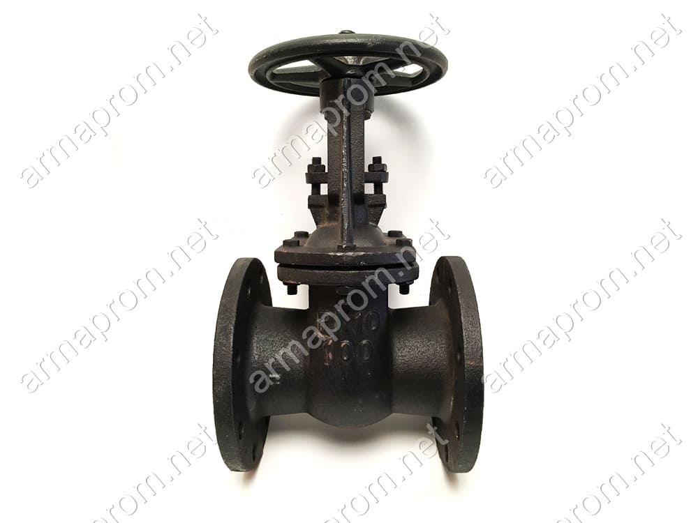 Засувка чавунна 30ч6бр Ду300 Ру10